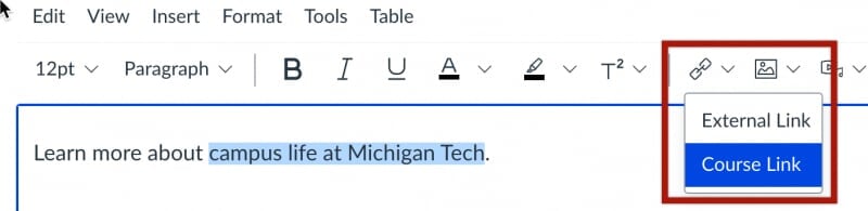 Course link option from Canvas rich content editor