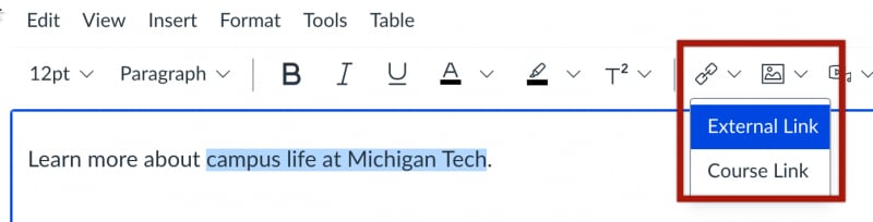 EXternal link option selected in Canvas rich content editor