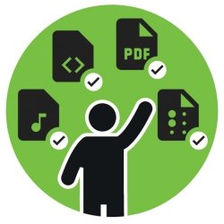 Illustrated person pointing to music, code, pdf, and image icons that have checkmarks.