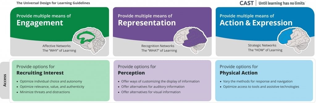 Udl Principles Chart