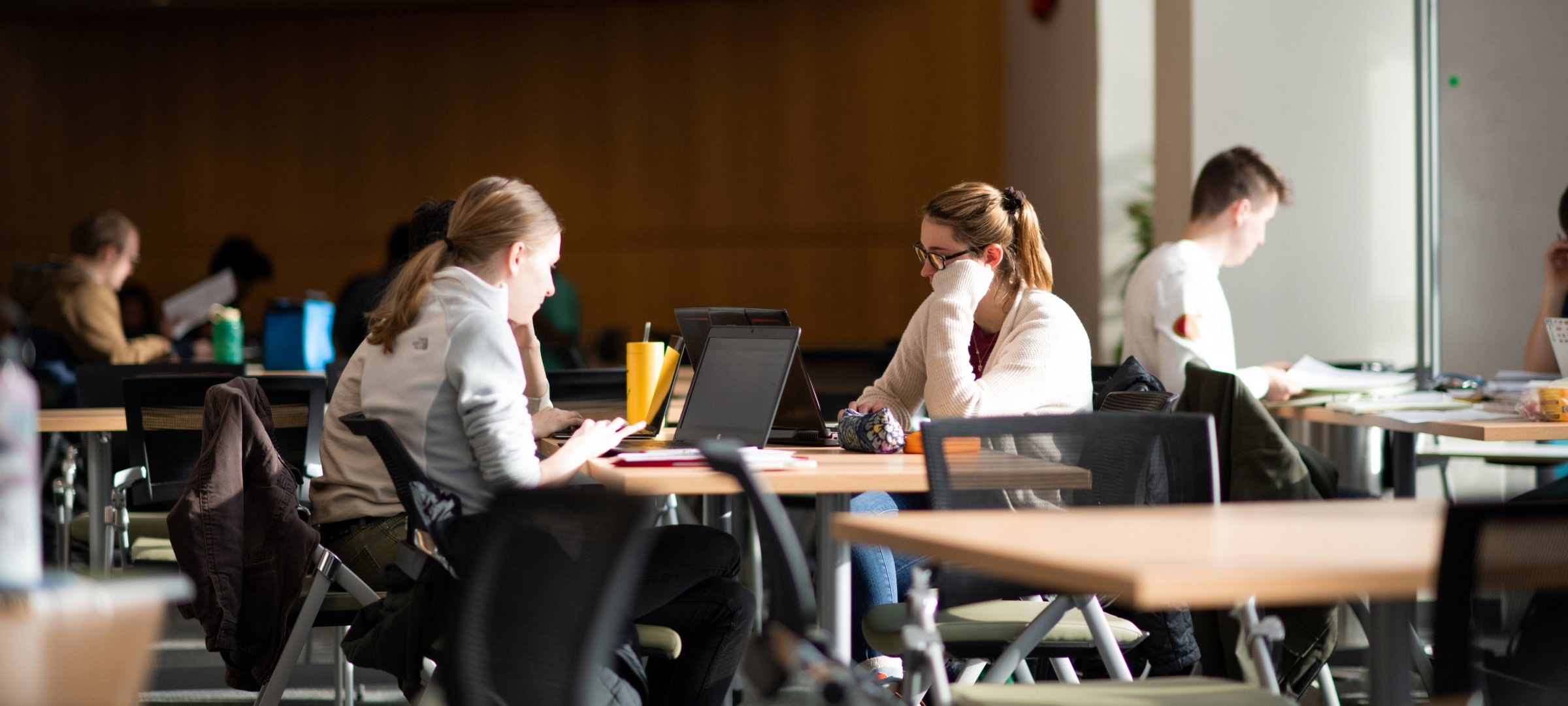 Students in the library studying