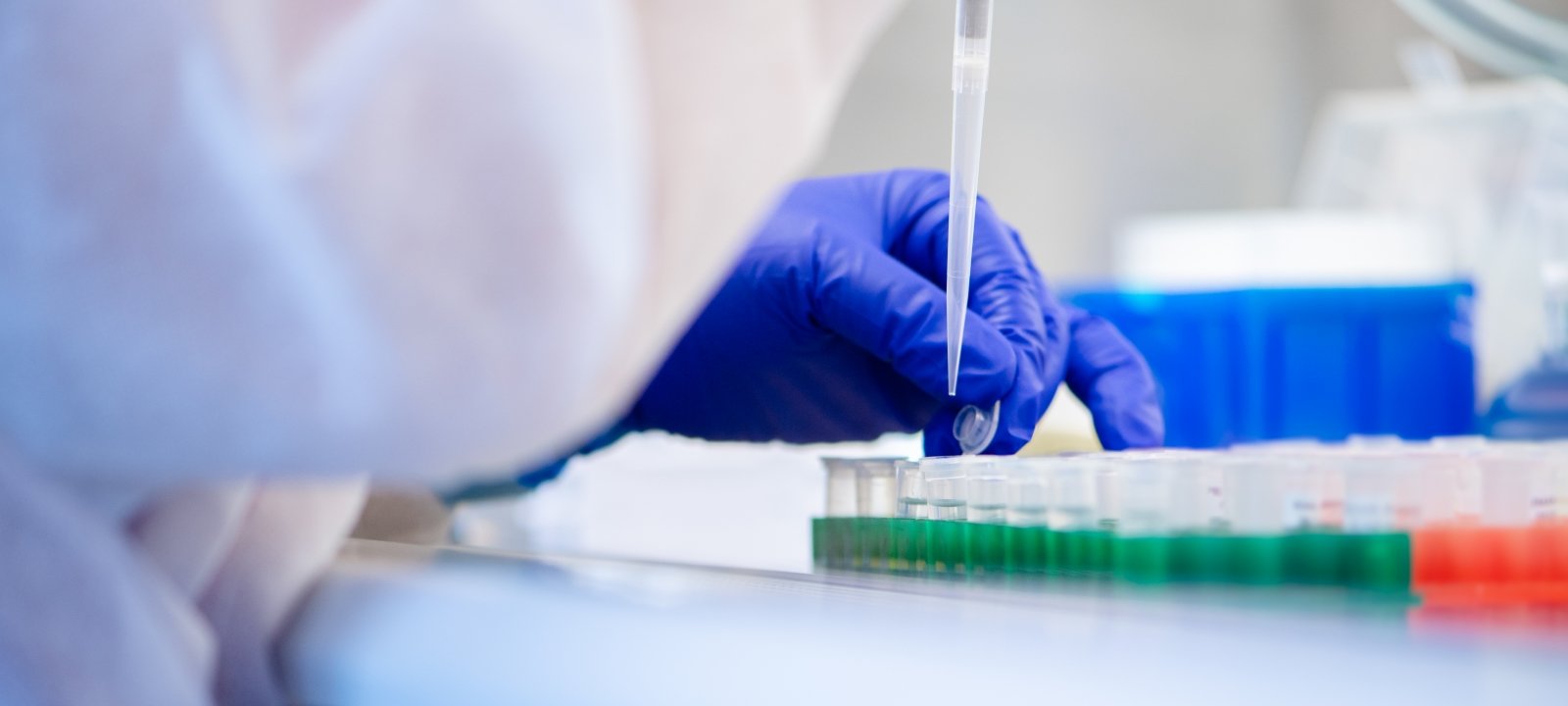 Researcher in COVID-19 testing lab using a pipette to draw from sample tubes.