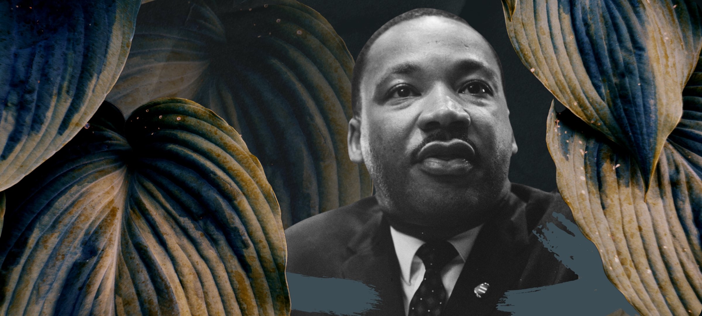 A design featuring Martin Luther King Jr looking forward through drying tobacco leaves.