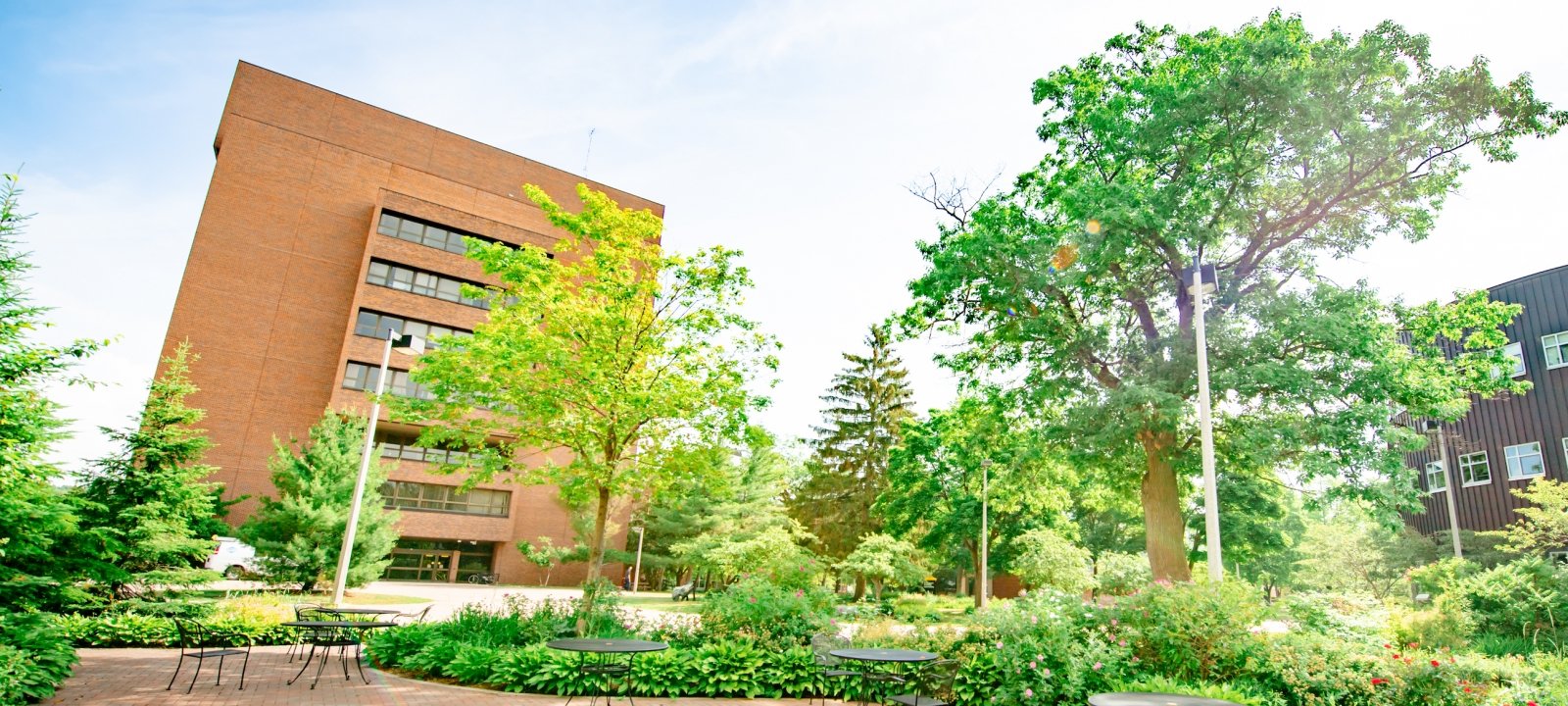 Message from the Chair and a view of the EERC Building in summer.