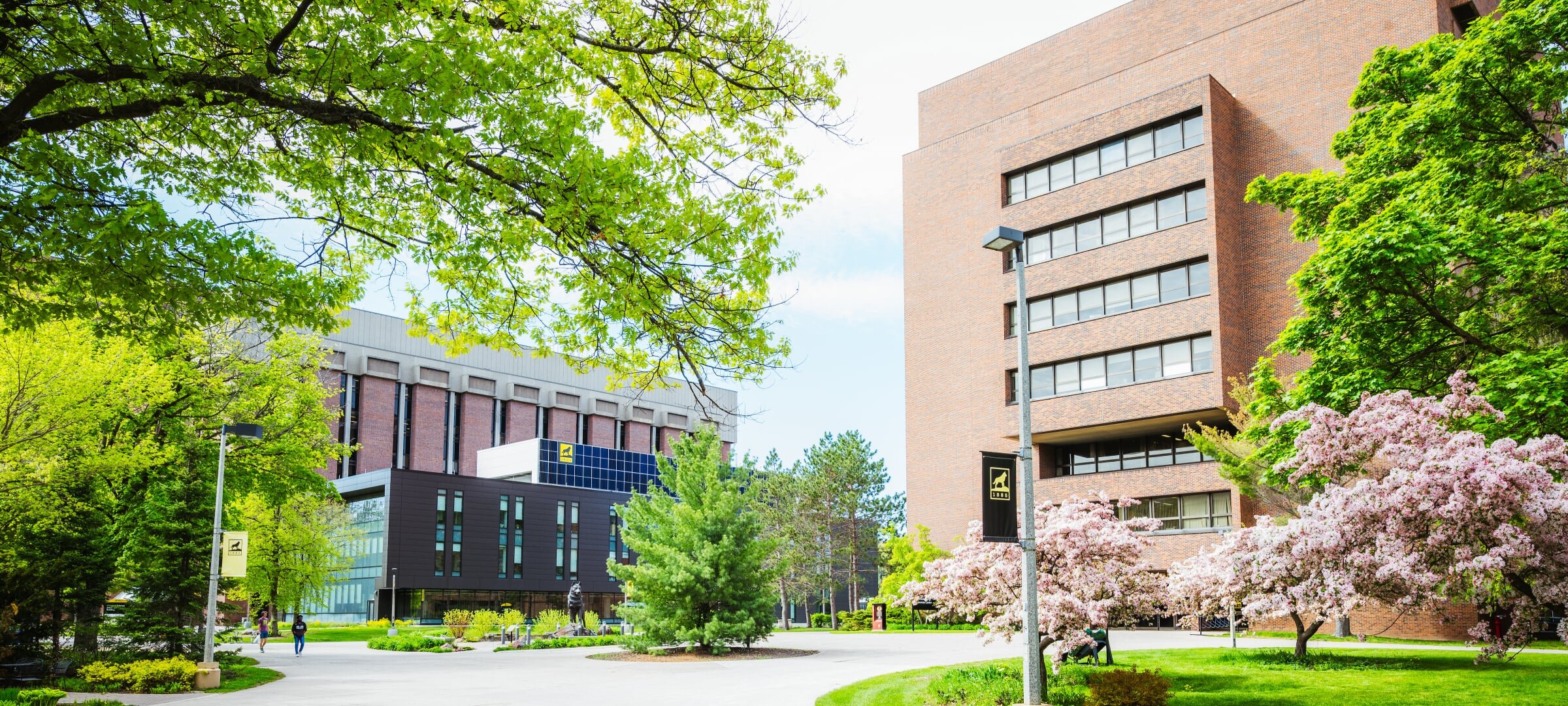 Ciew of the EERC Building in summer.