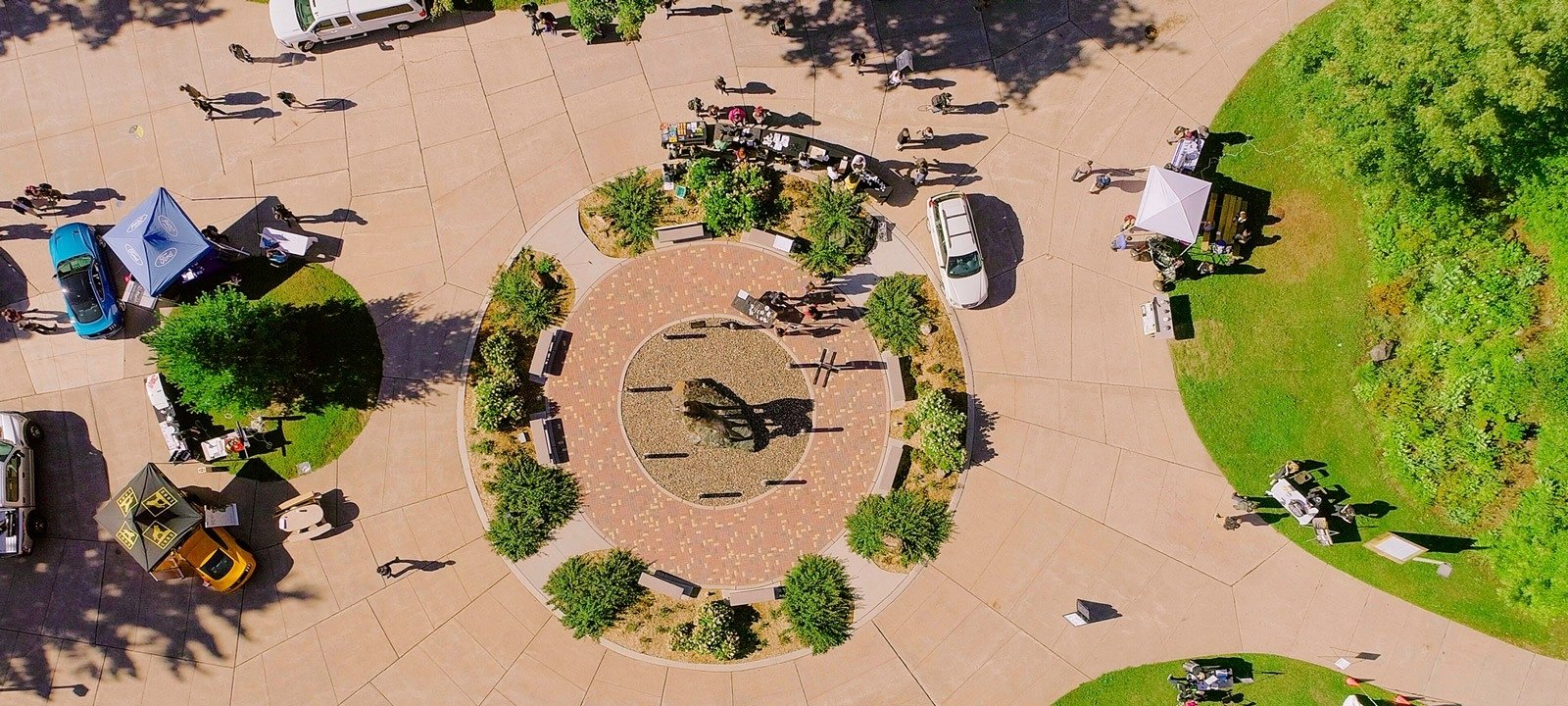 Aerial view of the Husky statue on the campus mall.