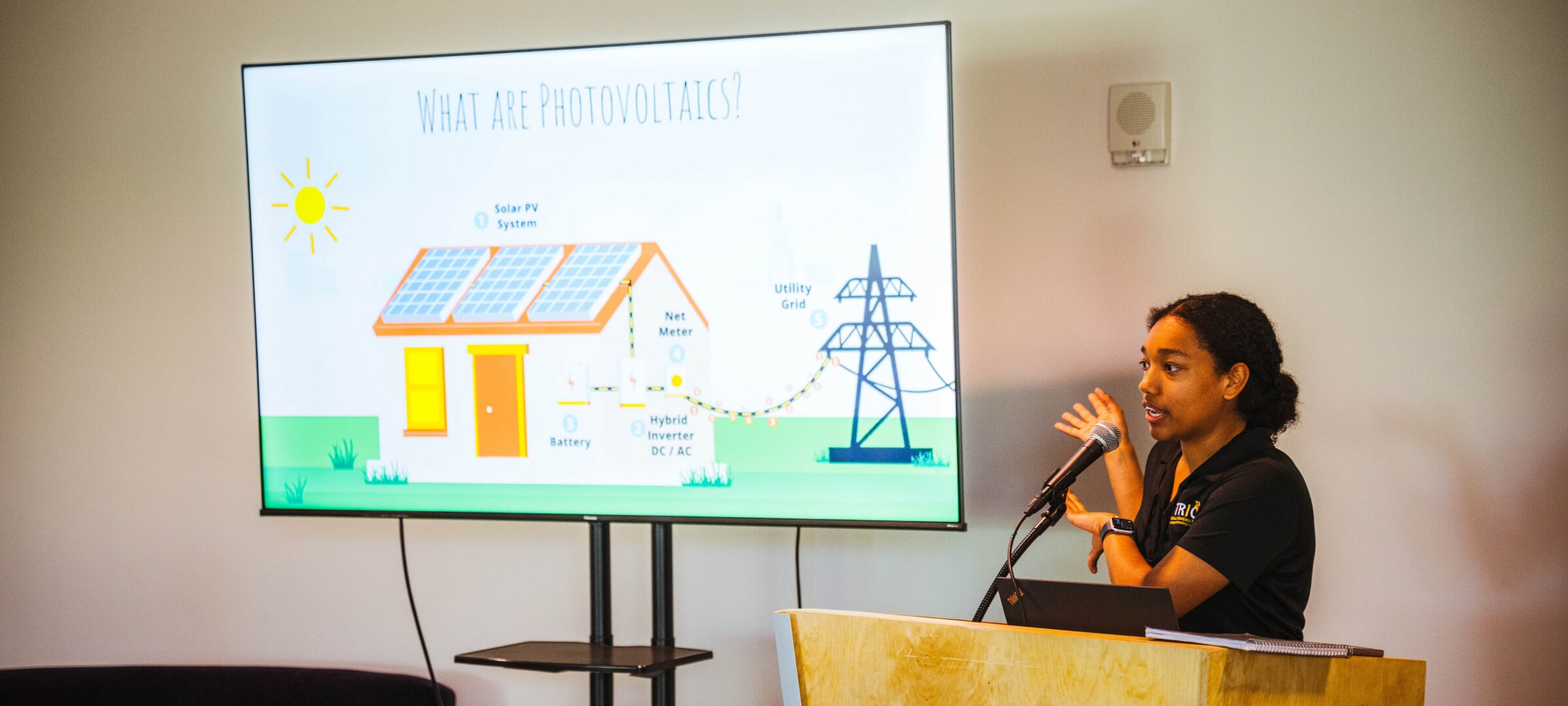 Wind mills with the sun setting.