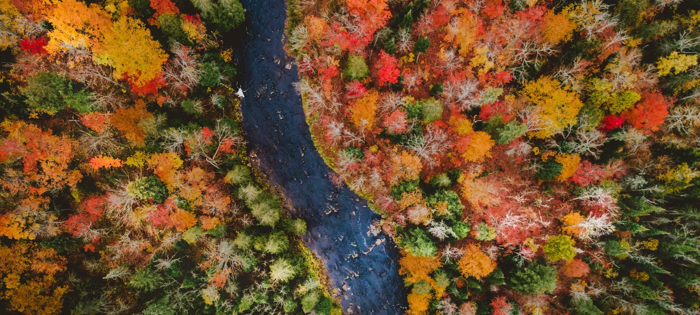 Overhead photo of forest and stream in fall