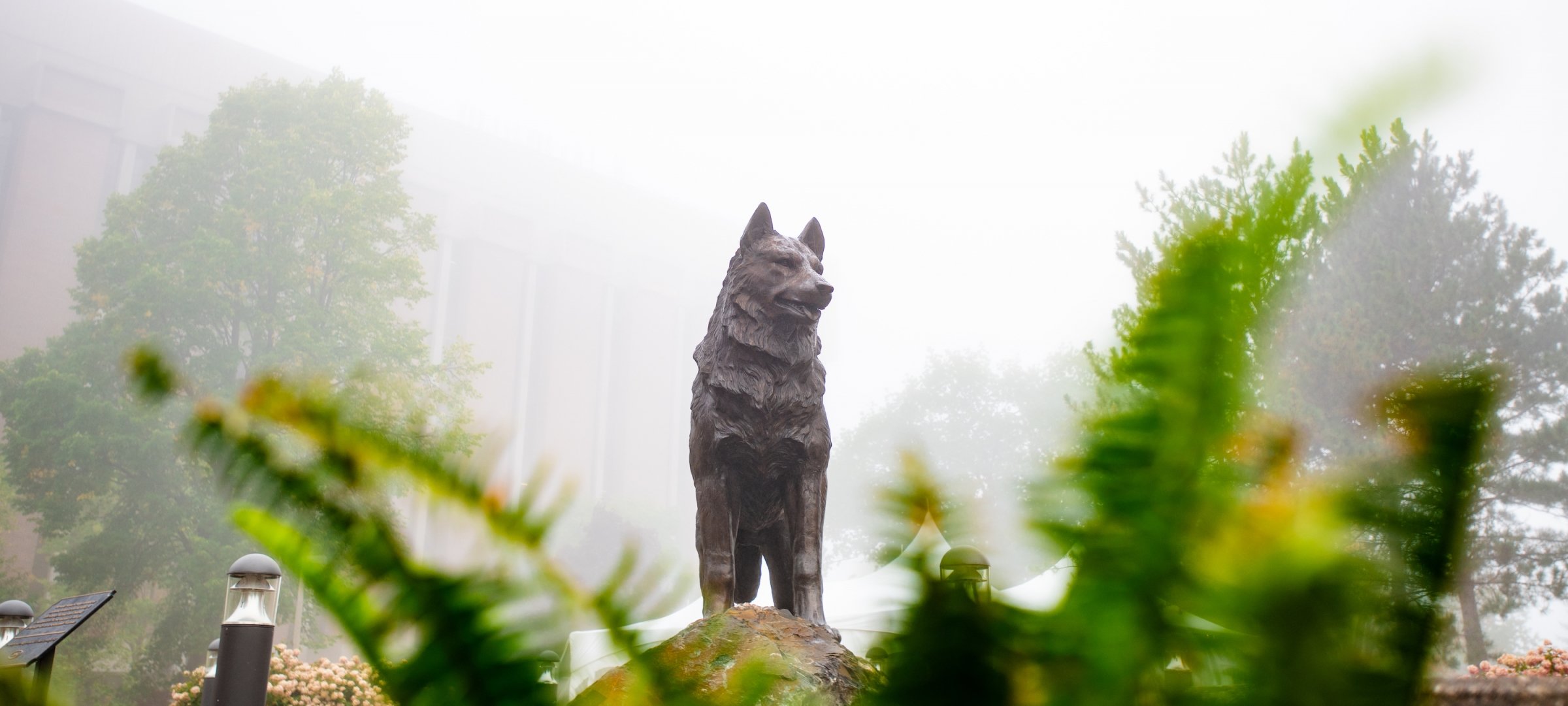 Husky Statue on the Michigan Tech Campus