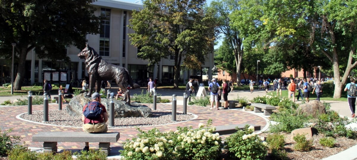 Alumni walking on campus, near the husky statue.