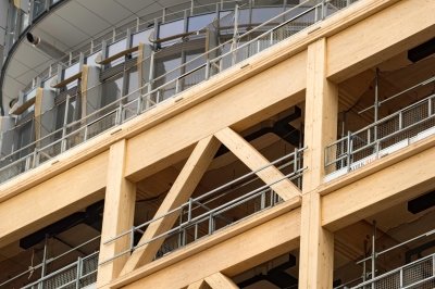 Structural Engineering: Timber Building Design