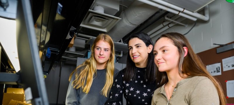 Researchers in biomedical engineering working online.