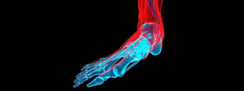 3D rendoring of a human foot.