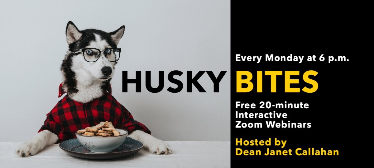 Husky Bites Zoom Seminars.
