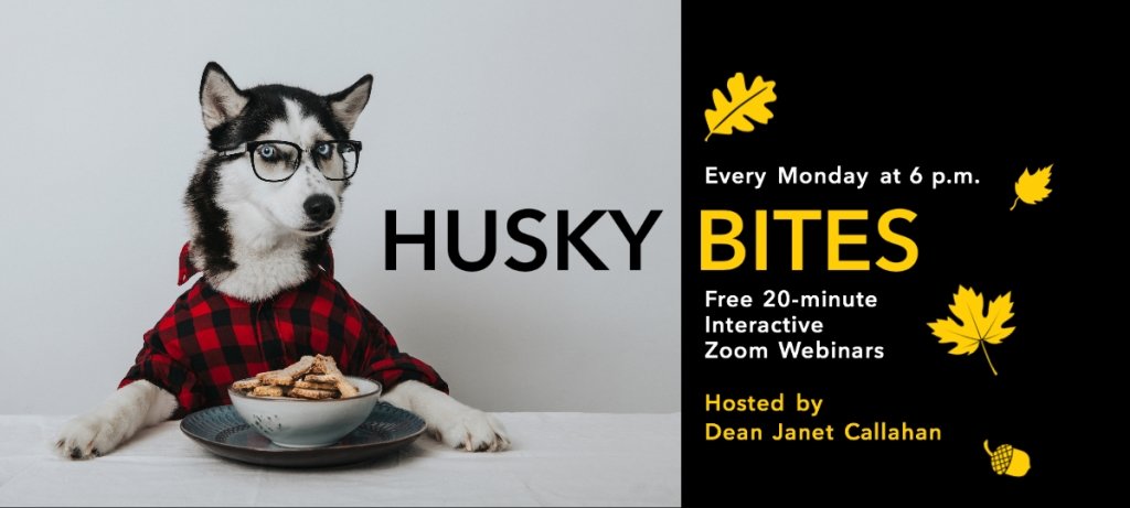 Husky Bites Zoom Webinars Monday at 6 Hosted by Dean Callahan