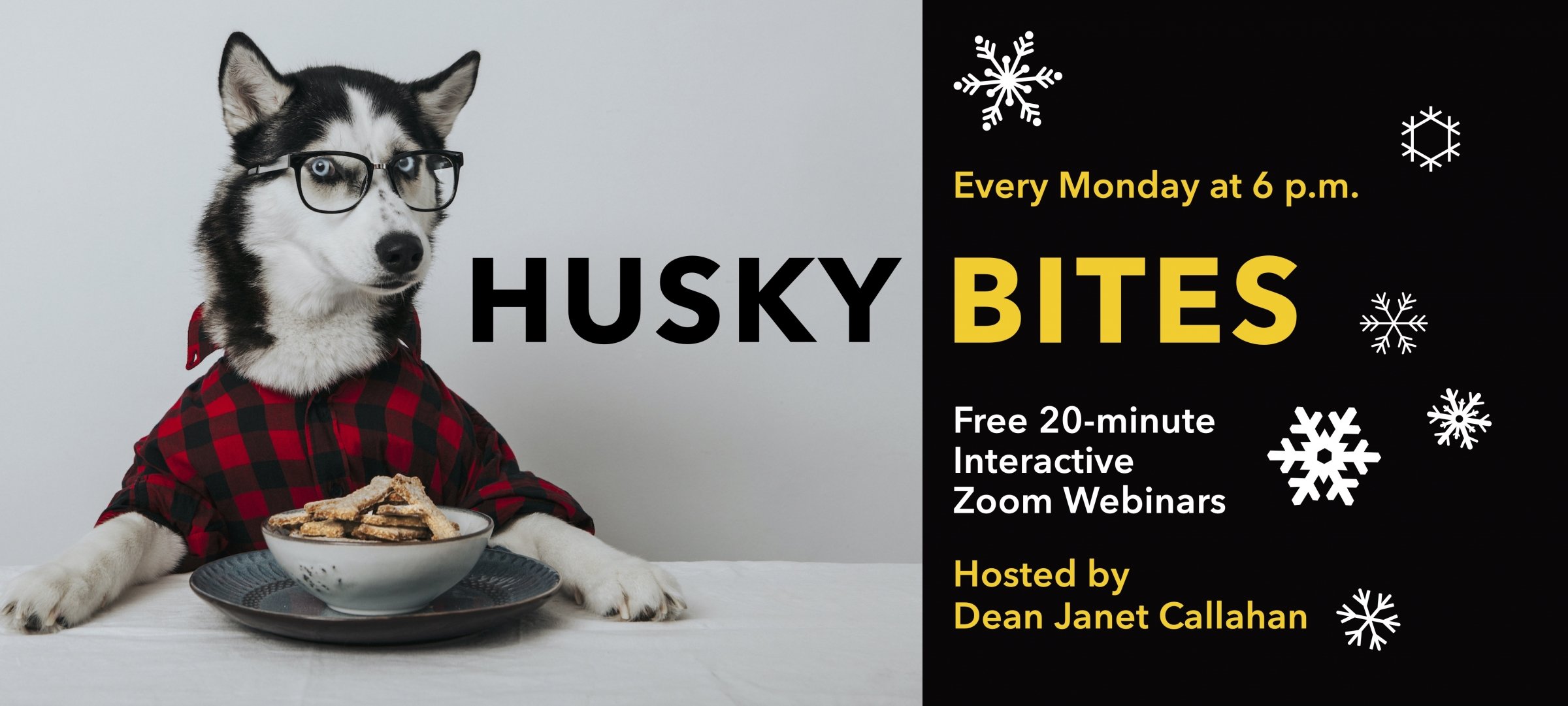 Husky Bites Zoom Webinars Monday at 6 Hosted by Dean Callahan