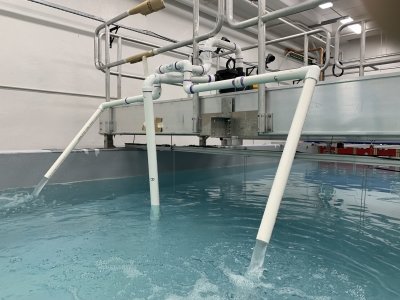 The Aquaponic Systems team's aeration device being tested at the MTWave facility