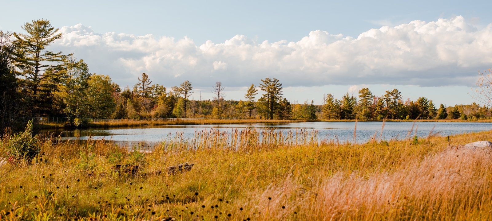 Sand point in Baraga, Michigan