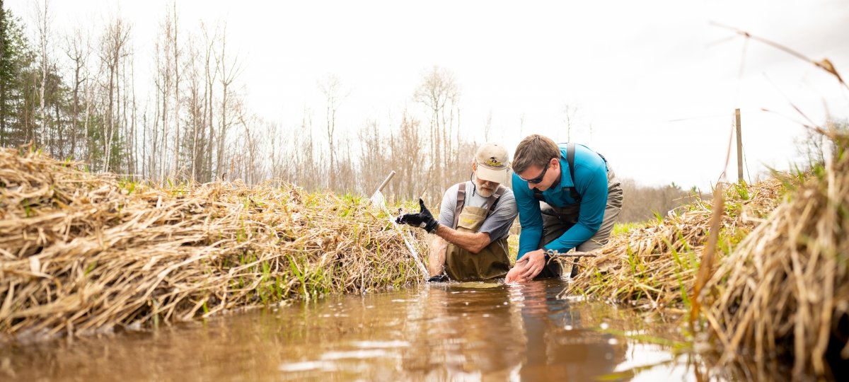 Stream restoration work