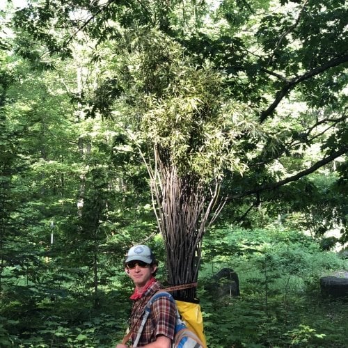 Hauling saplings for peepsock restoration