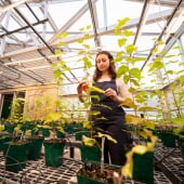 student working in the green house