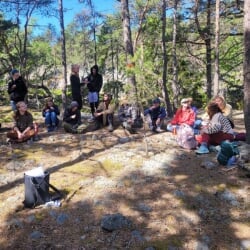 Students talking a break in the woods on the Sweden trip