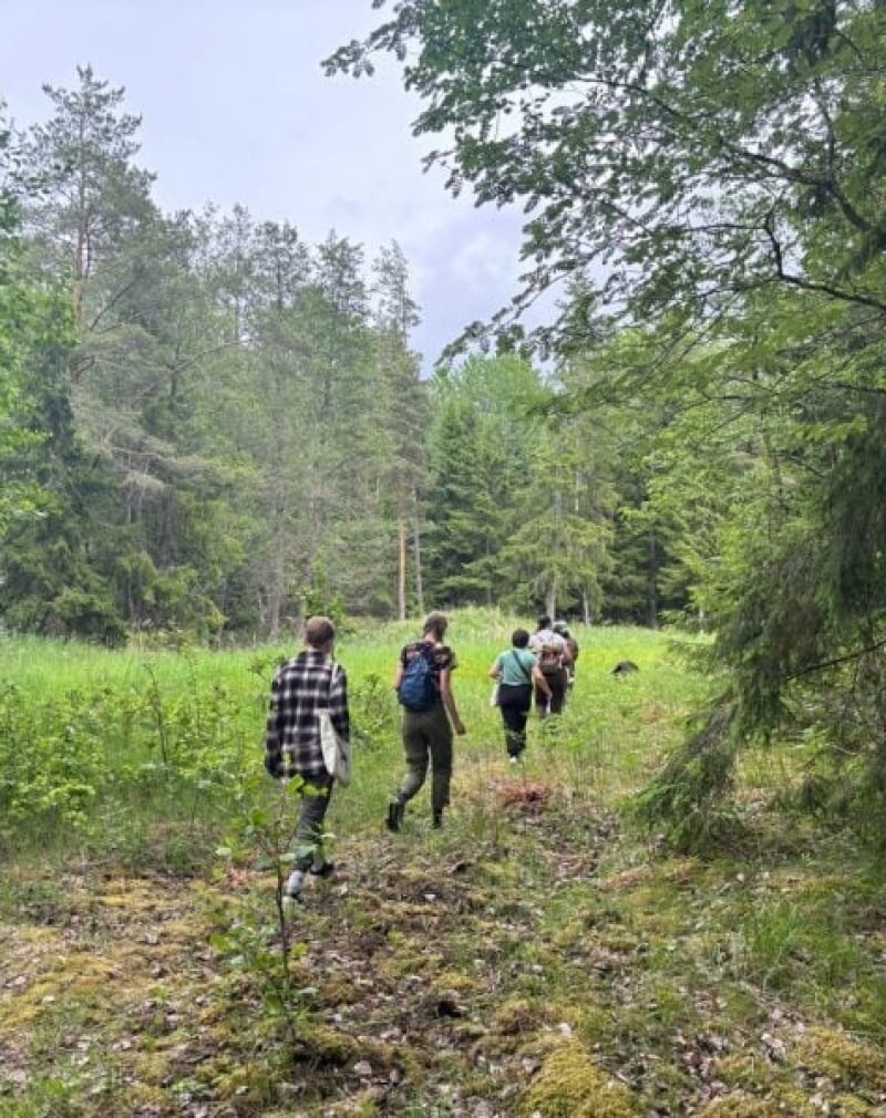 students walking in the woods in Sweden