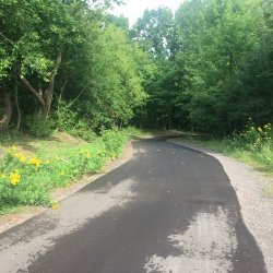 Campus Flood Restoration - fixed trail