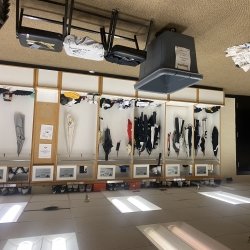 SDC Men's Basketball Locker Room Upgrade