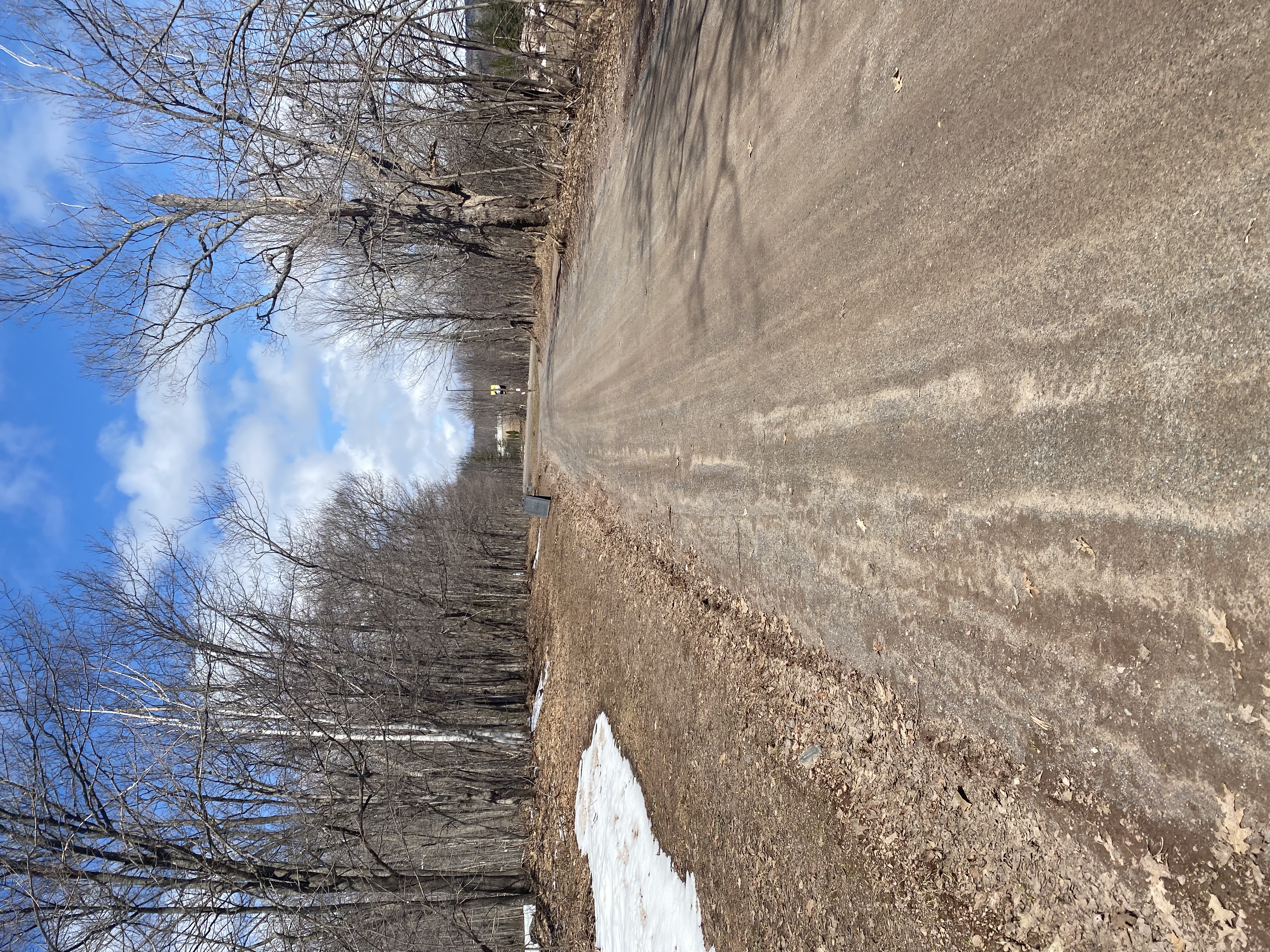 Tech Ski Trail Before