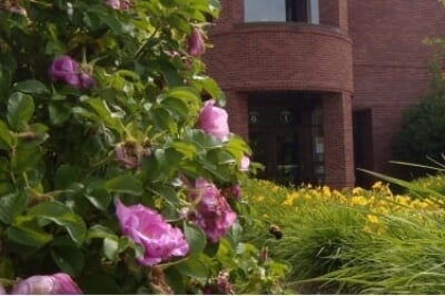 Memorial Union Garden