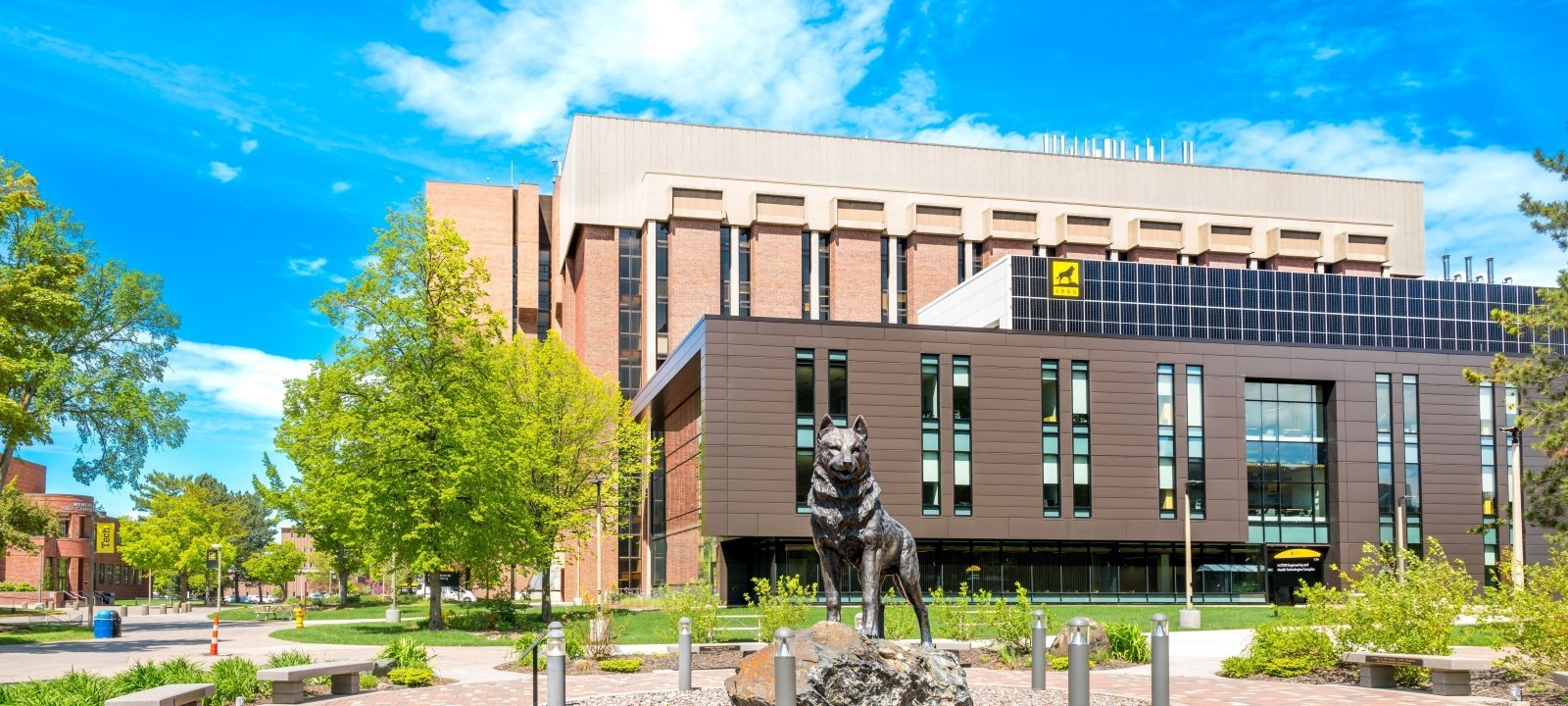 New HSTEM Complex