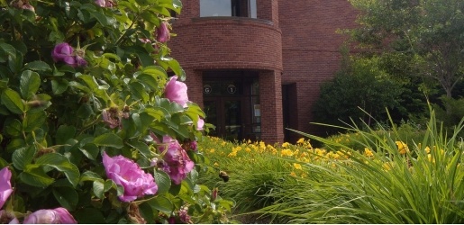 Garden in front of the Memorial Union Building.