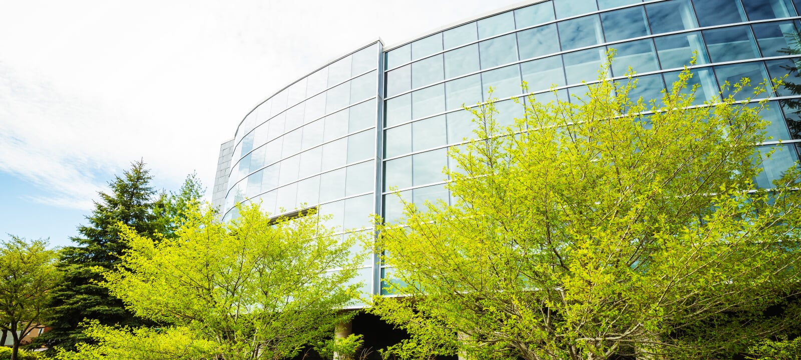 Curved glass exterior of the library with spring trees.