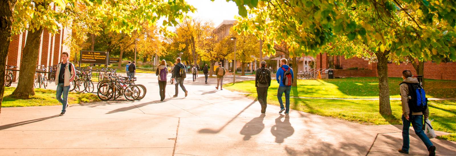 Students walking on campus.