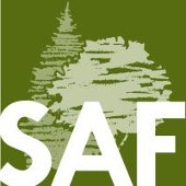SAF logo.