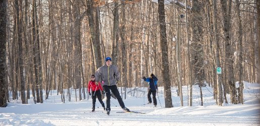 Several people cross country skiing on a trail in the woods.