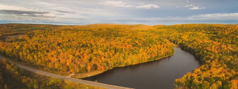 Aerial view of the Ford Forest.