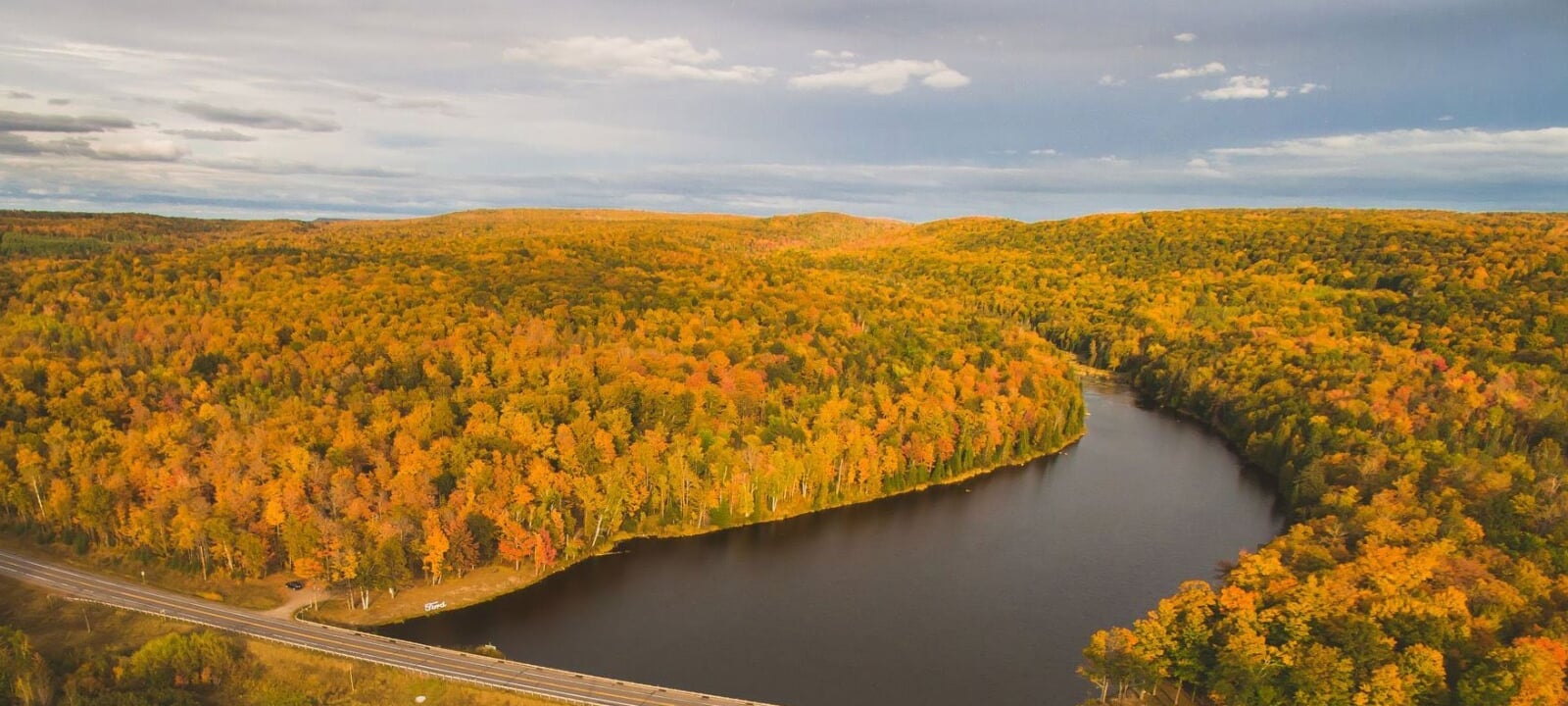 Aerial view of the Ford Forest.