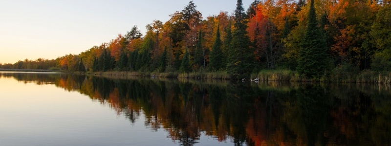 Calm water reflecting the forest.