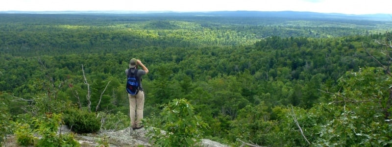 Student on a hilltop looking out over the forest with binoculars.