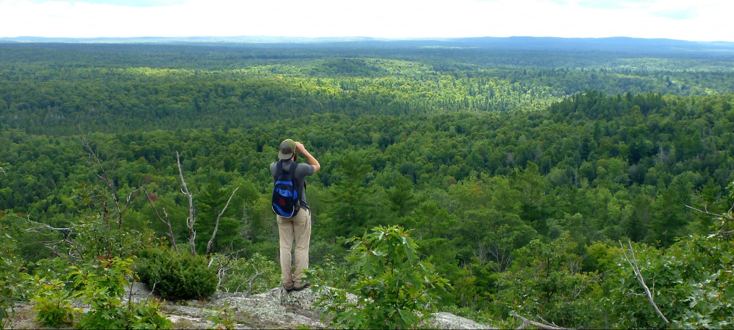 Student on a hilltop looking out over the forest with binoculars.