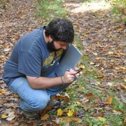 Student studying leaves in the forest.
