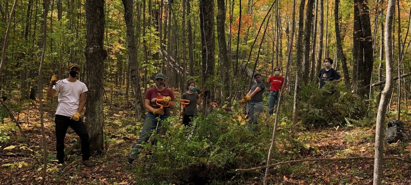 Women in Natural Resources removing invasive species, posing for photo in the woods with tools in hand