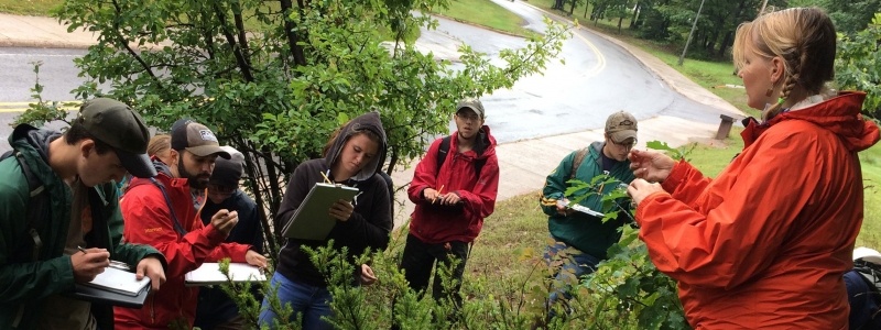 Students taking a class outside. 