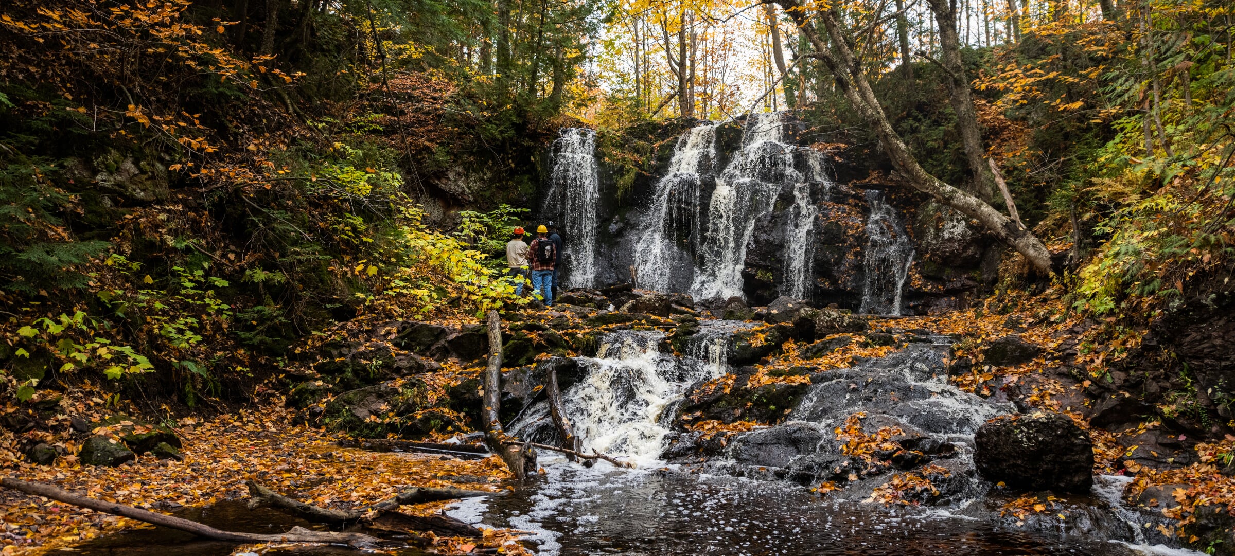 A forest with students looking at a waterfall