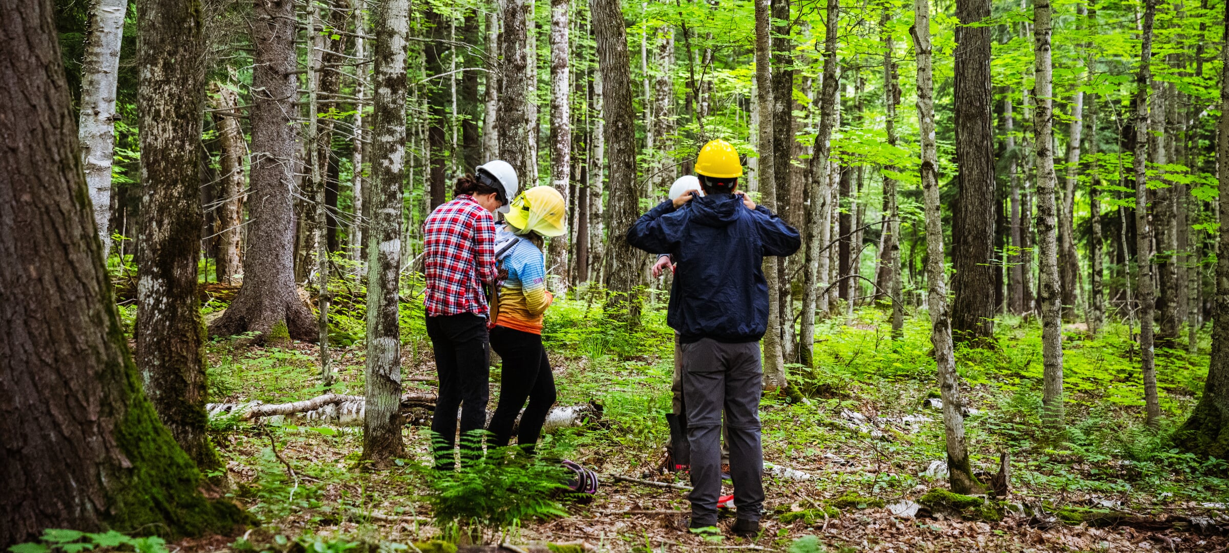 A group of students in a forest.