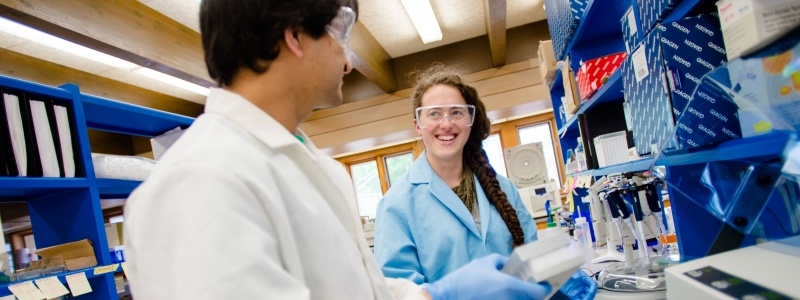 graduate programs