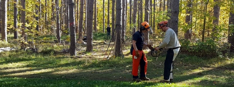 Master of Forestry