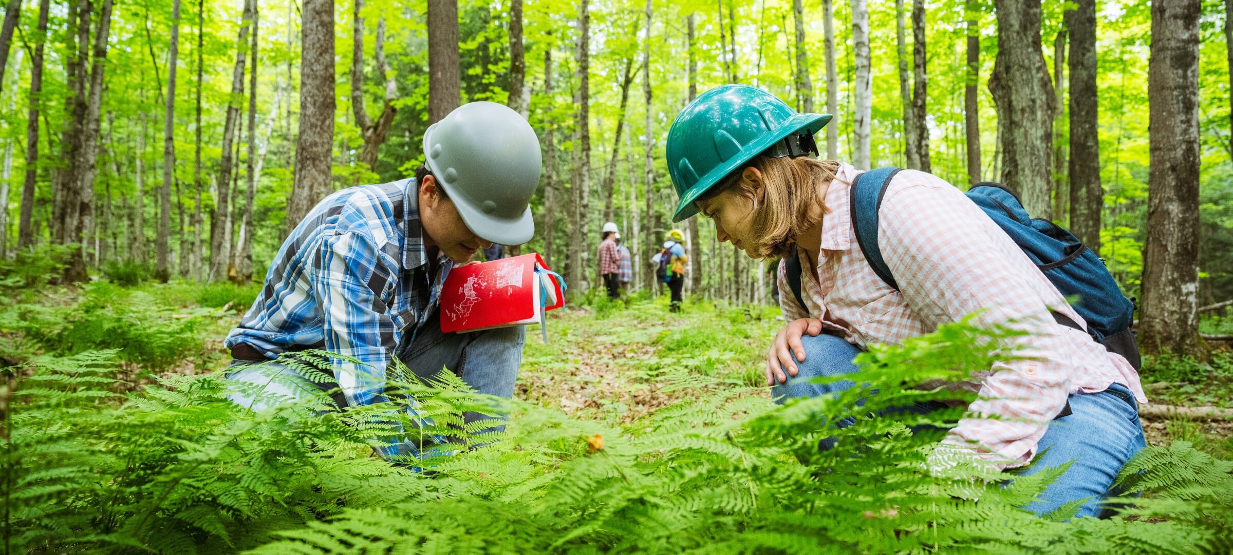 Two students leaning down in the forest looking at the ground with a vibrant green fern in front of them